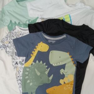Dinosaur Print Kids T-Shirt Set - Blue, Black, White, Green